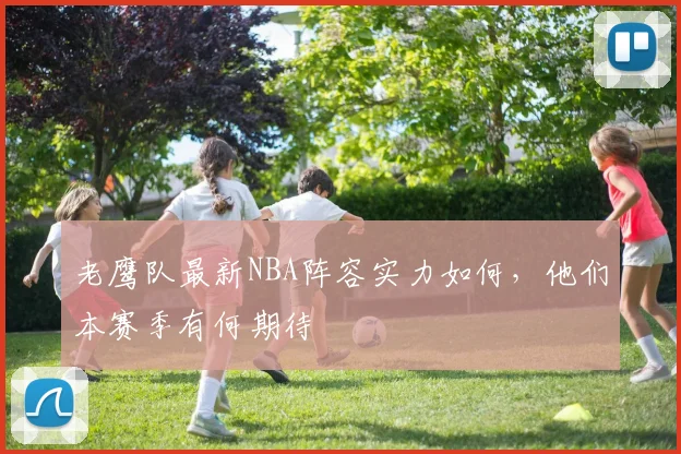 老鹰队最新NBA阵容实力如何，他们本赛季有何期待