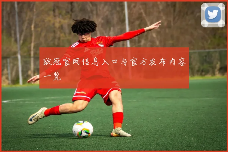 欧冠官网信息入口与官方发布内容一览