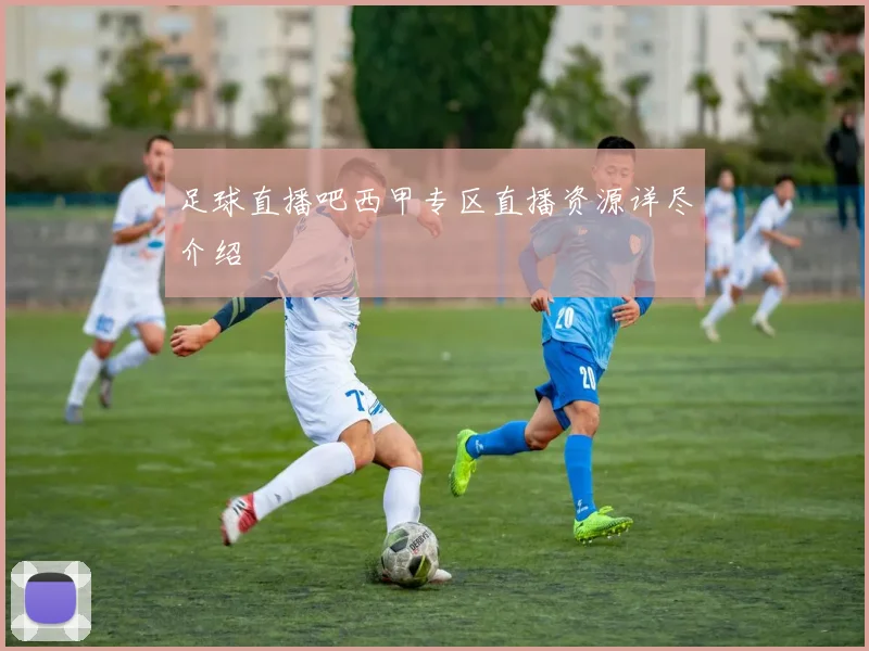 足球直播吧西甲专区直播资源详尽介绍